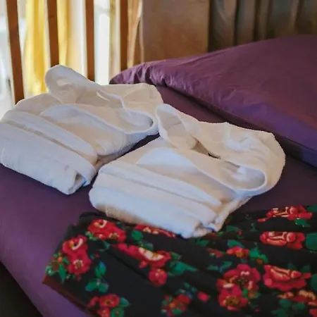 Lejlighed Le Nid Exotique - Vue Sur Les Toits Du Centre-ville