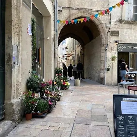 Le Nid Exotique - Vue Sur Les Toits Du Centre-ville Montpellier
