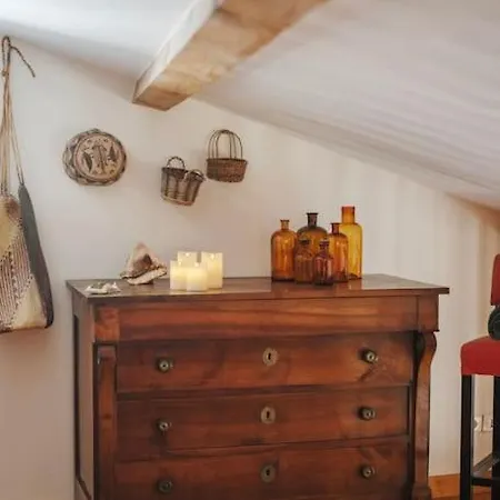 Le Nid Exotique - Vue Sur Les Toits Du Centre-ville * Монпелье