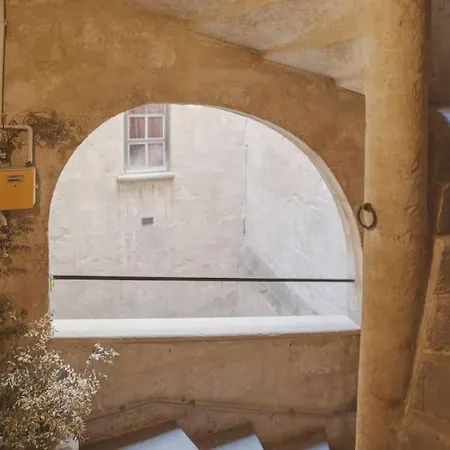 Le Nid Exotique - Vue Sur Les Toits Du Centre-ville * Montpellier