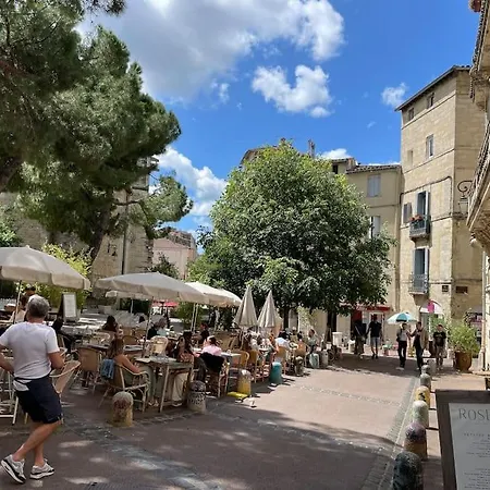 Le Nid Exotique - Vue Sur Les Toits Du Centre-ville Lejlighed Montpellier