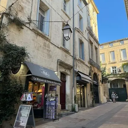 Le Nid Exotique - Vue Sur Les Toits Du Centre-ville *