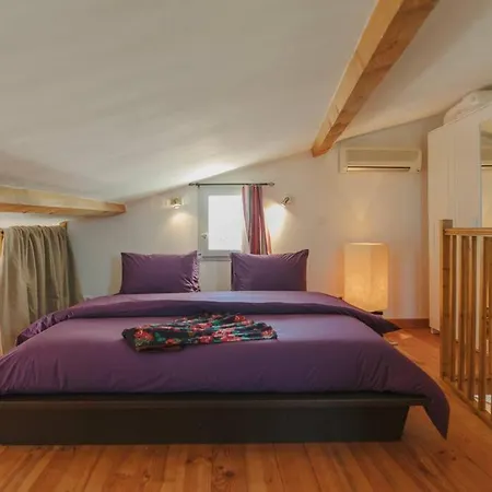 Le Nid Exotique - Vue Sur Les Toits Du Centre-ville